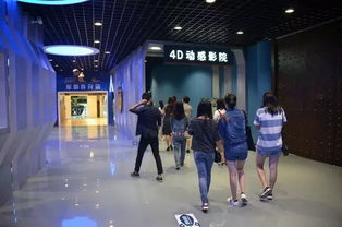 紹興東方山水一日游 室內恒溫樂園與藝術表演的完美體驗