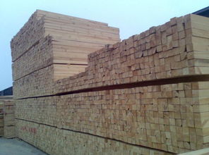 建筑材料銷售行業(yè)的領(lǐng)航者 一呼百應(yīng)公司頻道的崛起與價(jià)值